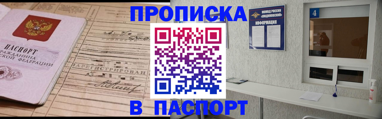 временная регистрация в Коле